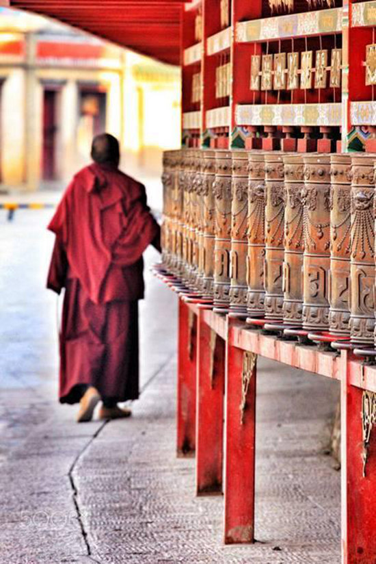 王菲活出真美的地方 给你非来不可的理由