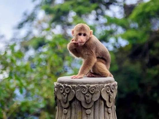 王菲活出真美的地方 给你非来不可的理由