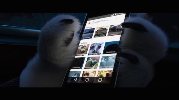 北极熊先生正在浏览自己的Zoogle Photo