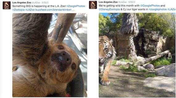 洛杉矶动物园内的树懒在自拍！