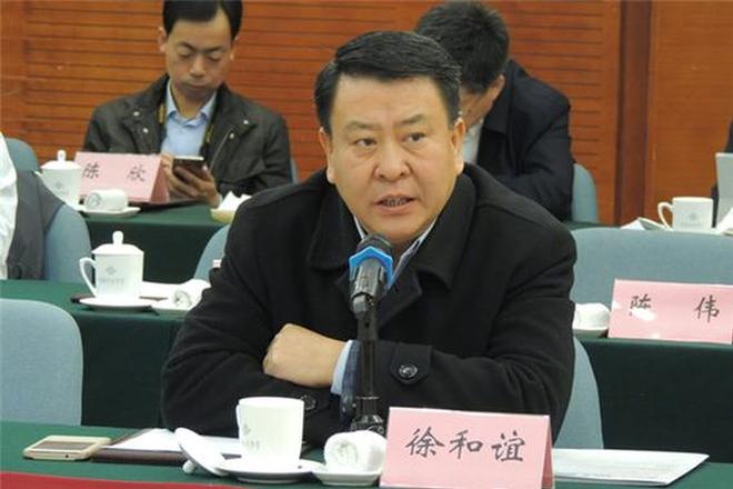 徐和谊:骗补形如耗子屎 产业做强仍需抱团