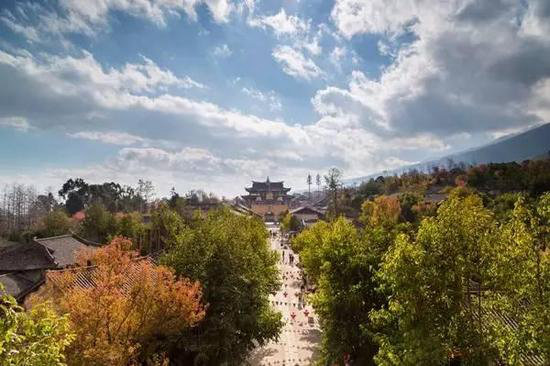 春意萌萌 三月这几个地方你自驾去过了么