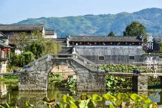 春意萌萌 三月这几个地方你自驾去过了么