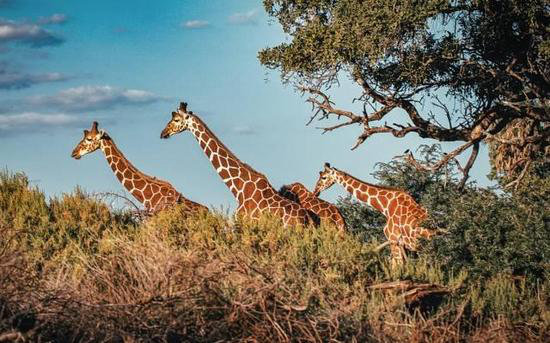 23大国家最新签证攻略 出国自驾旅游必知