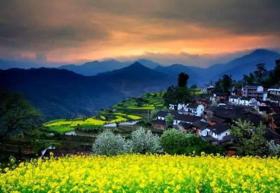 春意萌萌 三月这几个地方你自驾去过了么