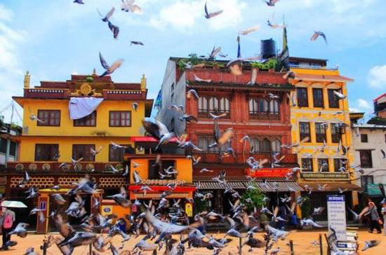 23大国家最新签证攻略 出国自驾旅游必知