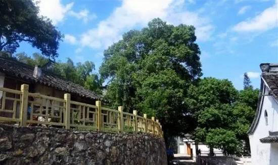 春意萌萌 三月这几个地方你自驾去过了么