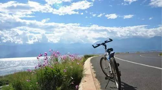 春意萌萌 三月这几个地方你自驾去过了么