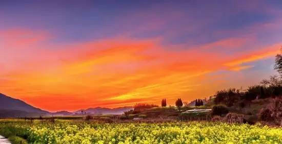 春意萌萌 三月这几个地方你自驾去过了么