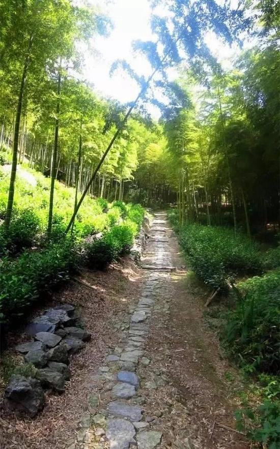 春意萌萌 三月这几个地方你自驾去过了么