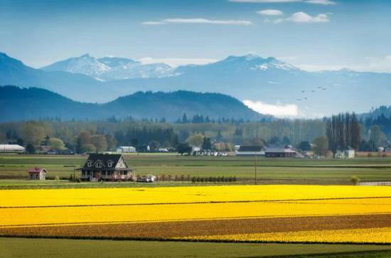 23大国家最新签证攻略 出国自驾旅游必知