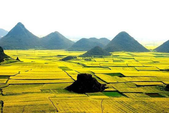 采花大盗自驾时间到 三月哪里花海最美