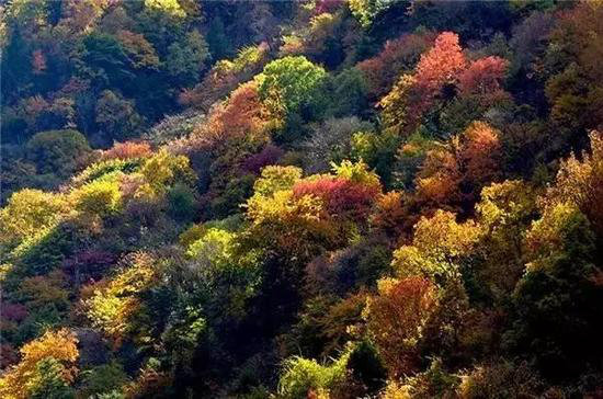 30岁之前必须攒钱要自驾去的六个地方！