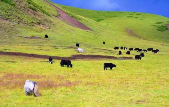 30岁之前必须攒钱要自驾去的六个地方！