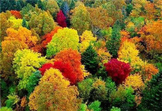 30岁之前必须攒钱要自驾去的六个地方！