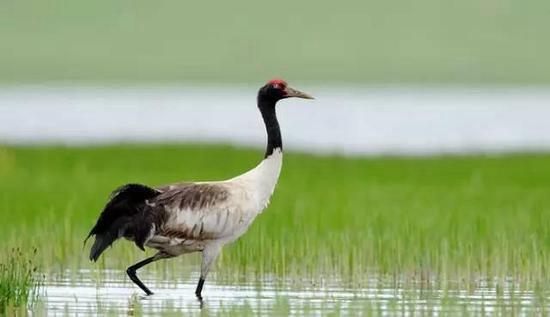 30岁之前必须攒钱要自驾去的六个地方！