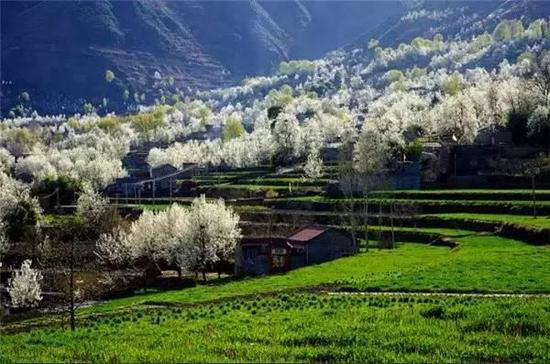 30岁之前必须攒钱要自驾去的六个地方！