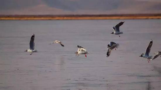 30岁之前必须攒钱要自驾去的六个地方！