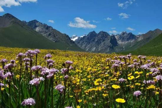 30岁之前必须攒钱要自驾去的六个地方！