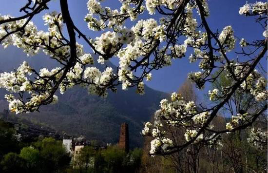 30岁之前必须攒钱要自驾去的六个地方！