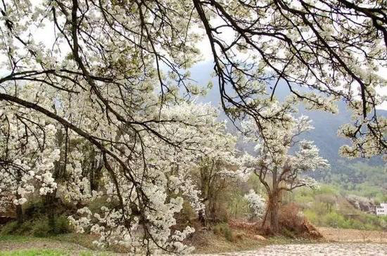 30岁之前必须攒钱要自驾去的六个地方！