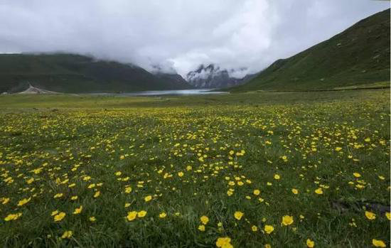 30岁之前必须攒钱要自驾去的六个地方！