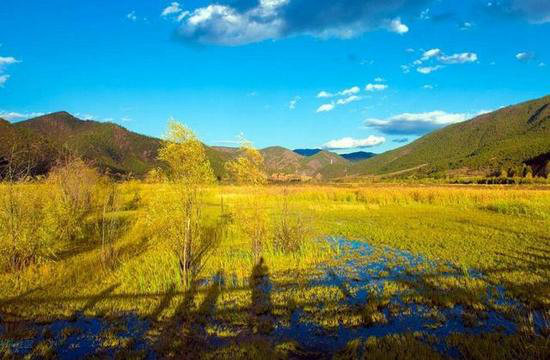 一生一定要去的绝美自驾旅游地想去哪个？