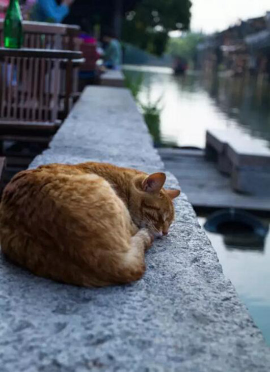 一生一定要去的绝美自驾旅游地想去哪个？