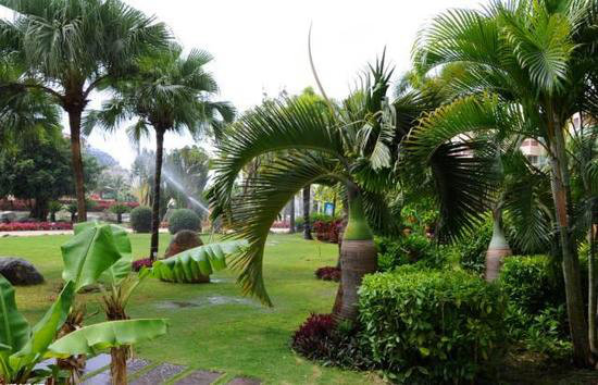 国内8个最浪漫的自驾蜜月圣地（下）