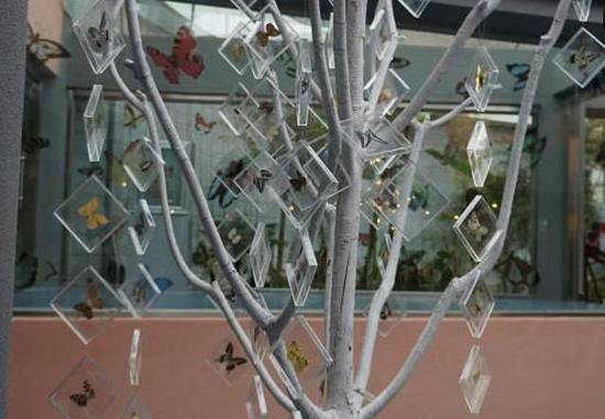 国内8个最浪漫的自驾蜜月圣地（下）