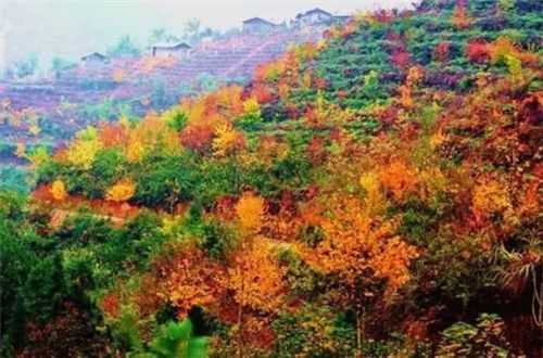 中国12大最古老神秘城镇 你自驾去过没？