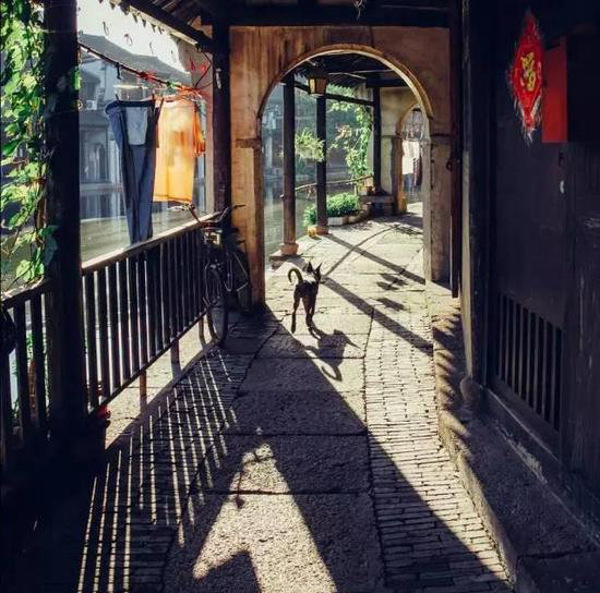 自驾去过3个以上地方你就是超级旅行达人