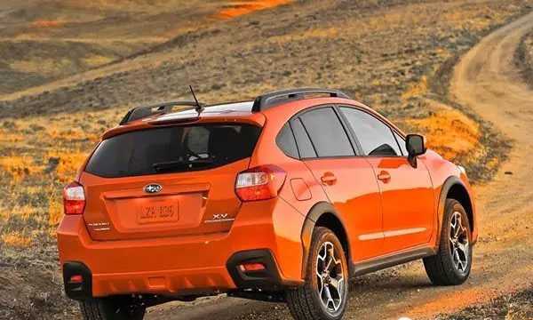 冬奥来了 小鹅辣评真伪滑雪者之车