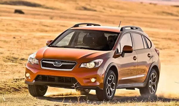 冬奥来了 小鹅辣评真伪滑雪者之车