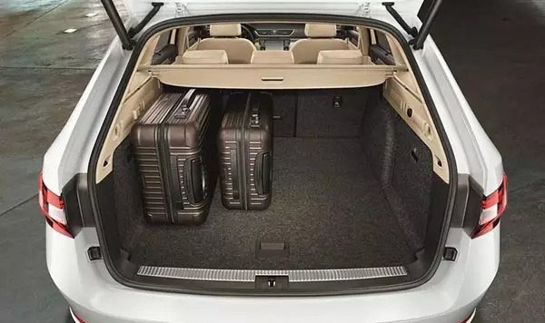 冬奥来了 小鹅辣评真伪滑雪者之车