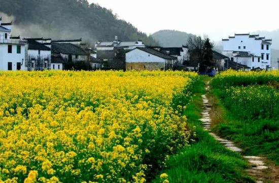 国内顶级自驾地 清明挑一个出发吧！(上)