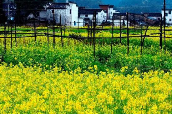 国内顶级自驾地 清明挑一个出发吧！(上)