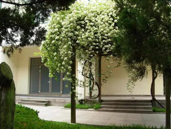 国内顶级自驾地 清明挑一个出发吧！(下)