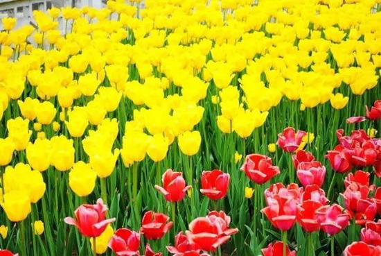 国内顶级自驾地 清明挑一个出发吧！(上)