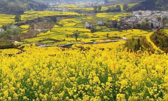 国内顶级自驾地 清明挑一个出发吧！(上)