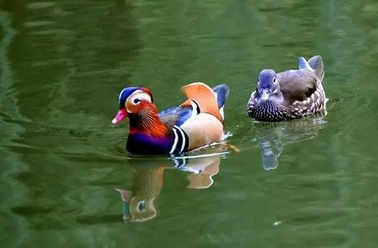 国内顶级自驾地 清明挑一个出发吧！(上)