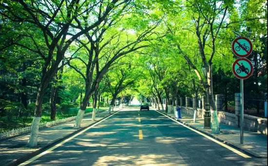 国内顶级自驾地 清明挑一个出发吧！(下)