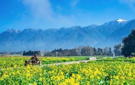 国内顶级自驾地 清明挑一个出发吧！(下)