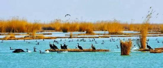 西安一路向西 春天最美西北自驾路