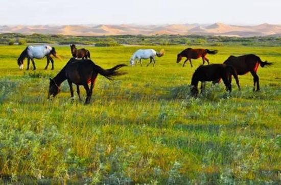 西安一路向西 春天最美西北自驾路