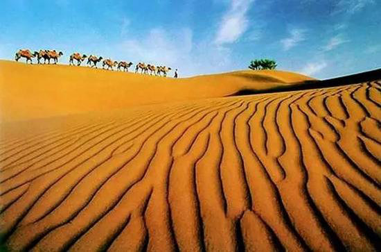 西安一路向西 春天最美西北自驾路