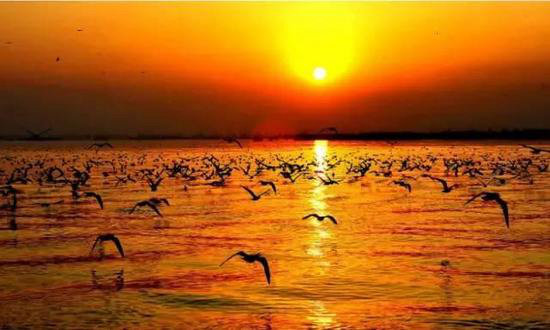 西安一路向西 春天最美西北自驾路