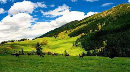 西安一路向西 春天最美西北自驾路