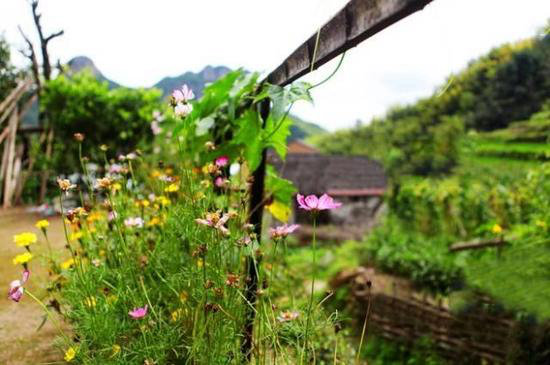 这才是小长假该去自驾旅行的原始天堂