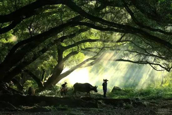 这才是小长假该去自驾旅行的原始天堂
